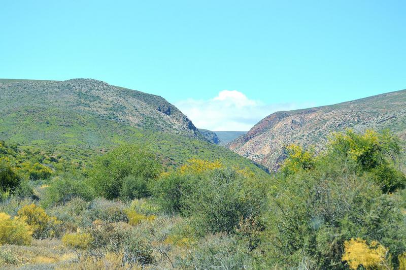 0 Bedroom Property for Sale in Calitzdorp Western Cape